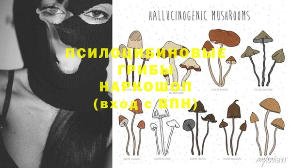 PSILOCYBIN Пенза