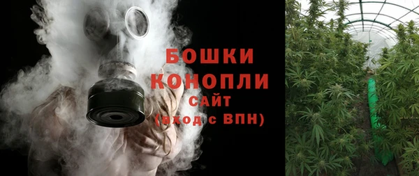 PSILOCYBIN Пенза