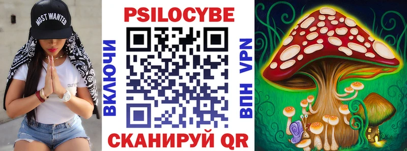 Галлюциногенные грибы MAGIC MUSHROOMS  Александровск 