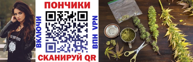 Шишки марихуана SATIVA & INDICA  Александровск 